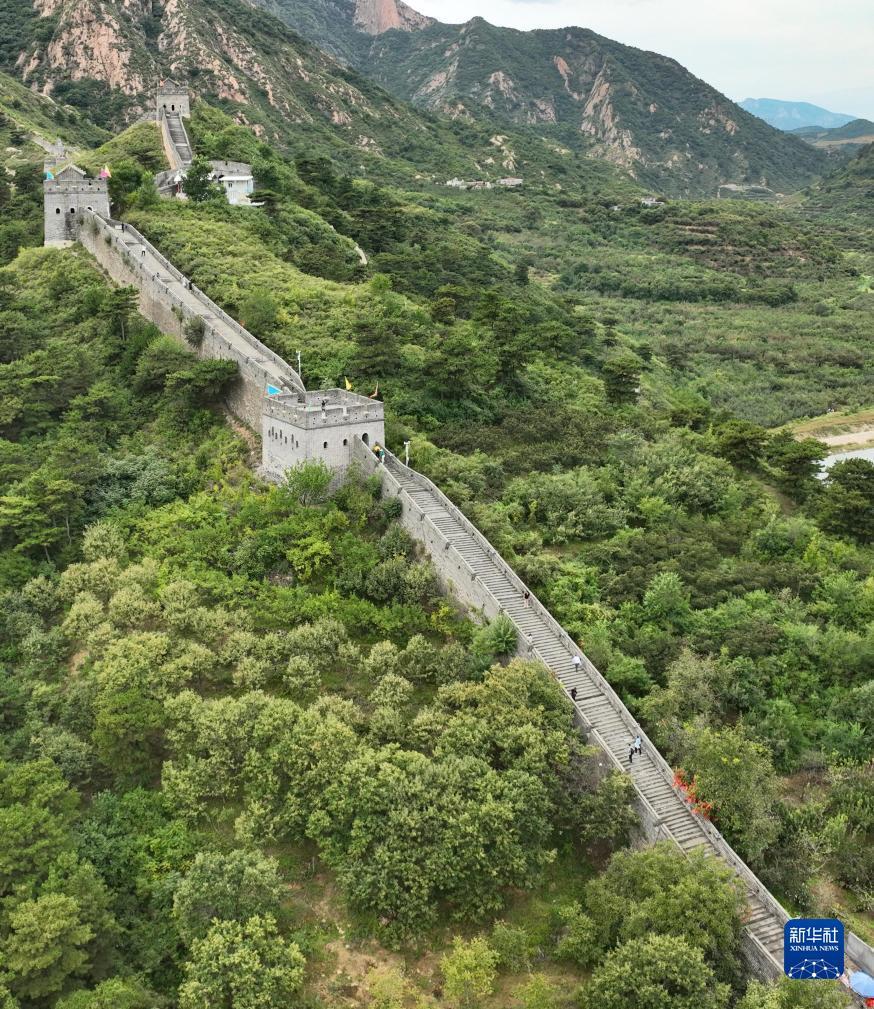 易博胜网址
